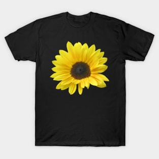 sunflower, sunflowers, bloom, floral T-Shirt